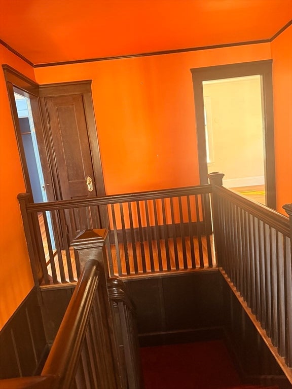 41 Colberg AVE, Boston, MA Photo #23