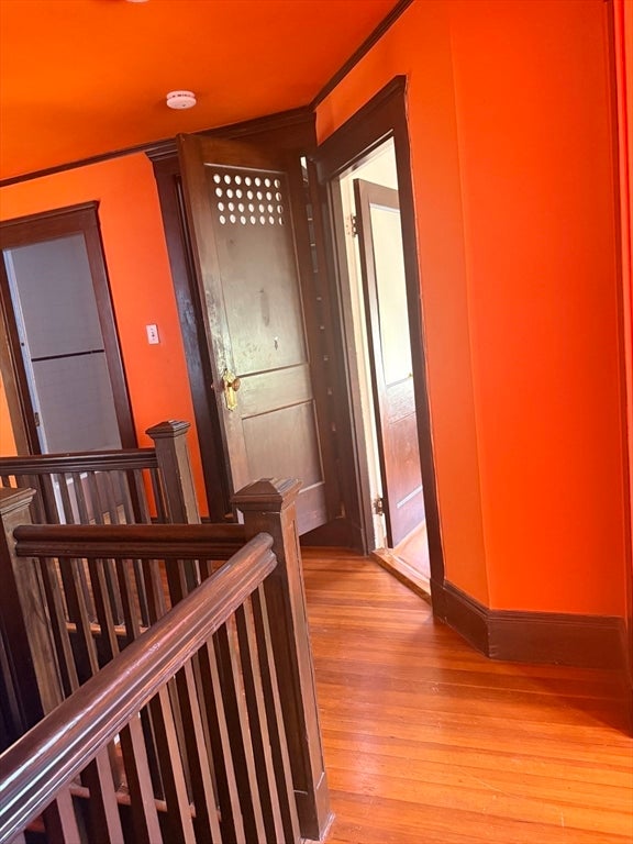 41 Colberg AVE, Boston, MA Photo #22