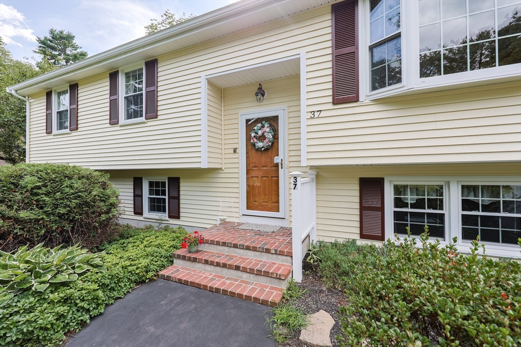 37 Oakleaf Dr