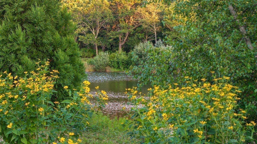 46 Roos Road, Sandwich, MA Photo #10