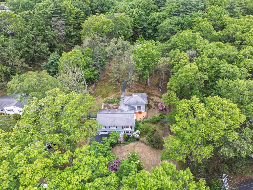6 Marshall St
