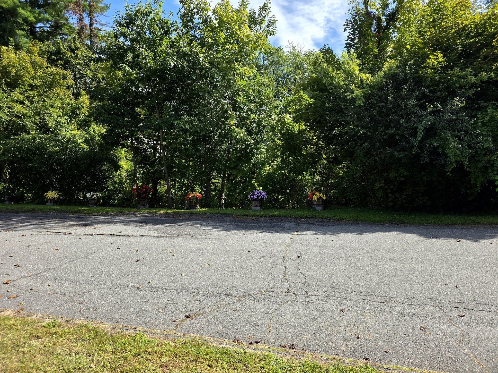2 Princeton Ter #2, Greenfield, MA, 2 Princeton Ter #2, Greenfield, MA Photo #22