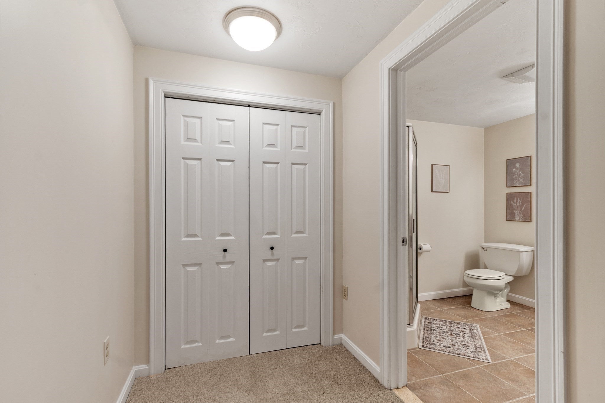 17 Teddy Road, Worcester, MA, 17 Teddy Road, Worcester, MA Photo #31