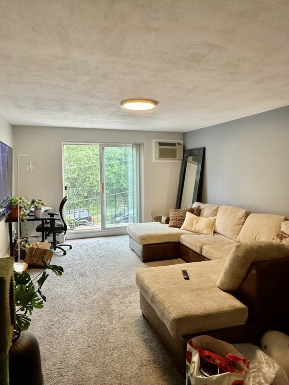 55 Eleanor St 17