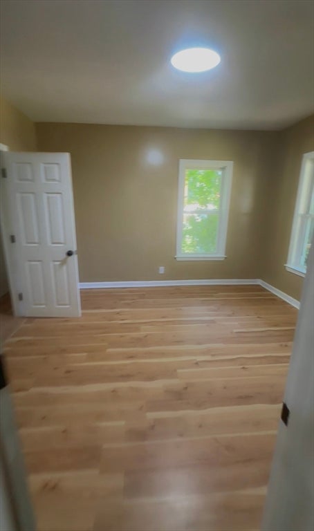 44 Capen St #1, Boston, MA, 44 Capen St #1, Boston, MA Photo #10