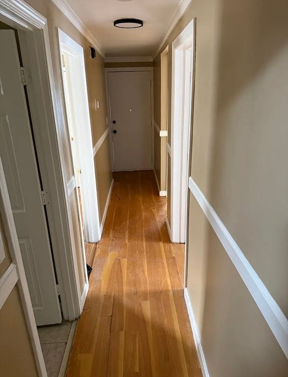 44 Capen St #1, Boston, MA, 44 Capen St #1, Boston, MA Photo #12