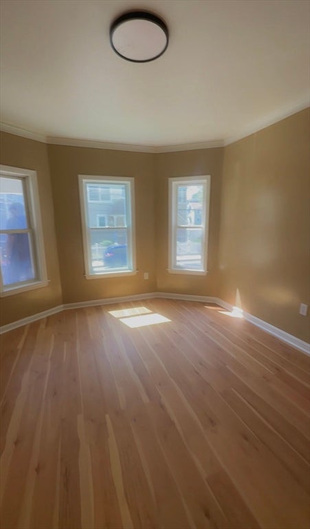 44 Capen St #1, Boston, MA, 44 Capen St #1, Boston, MA Photo #5