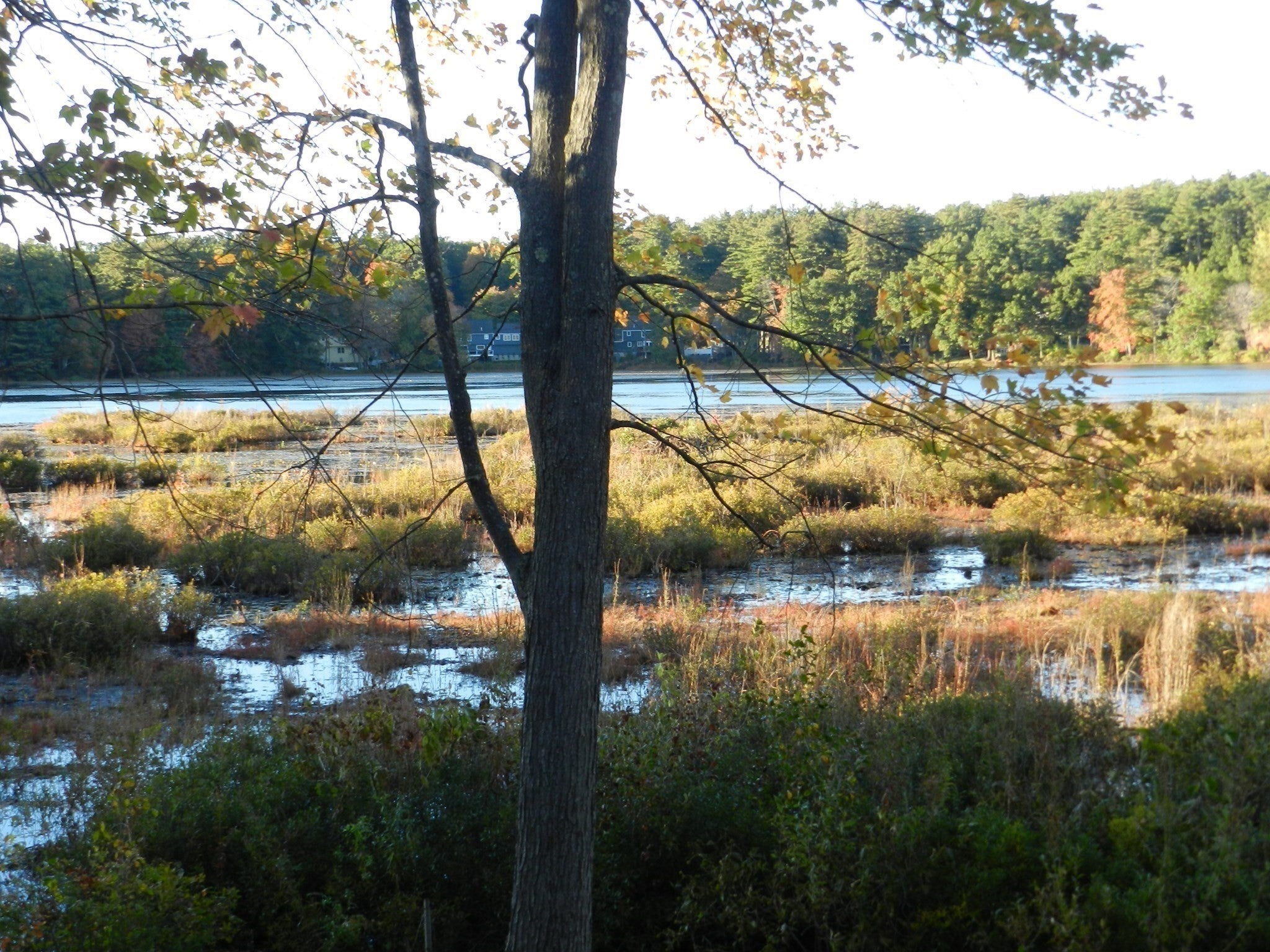 52 Sandy Pond Rd, Ayer, MA, 52 Sandy Pond Rd, Ayer, MA Photo #6