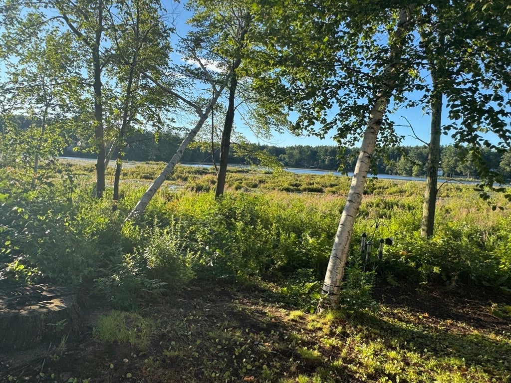 52 Sandy Pond Rd, Ayer, MA, 52 Sandy Pond Rd, Ayer, MA Photo #24
