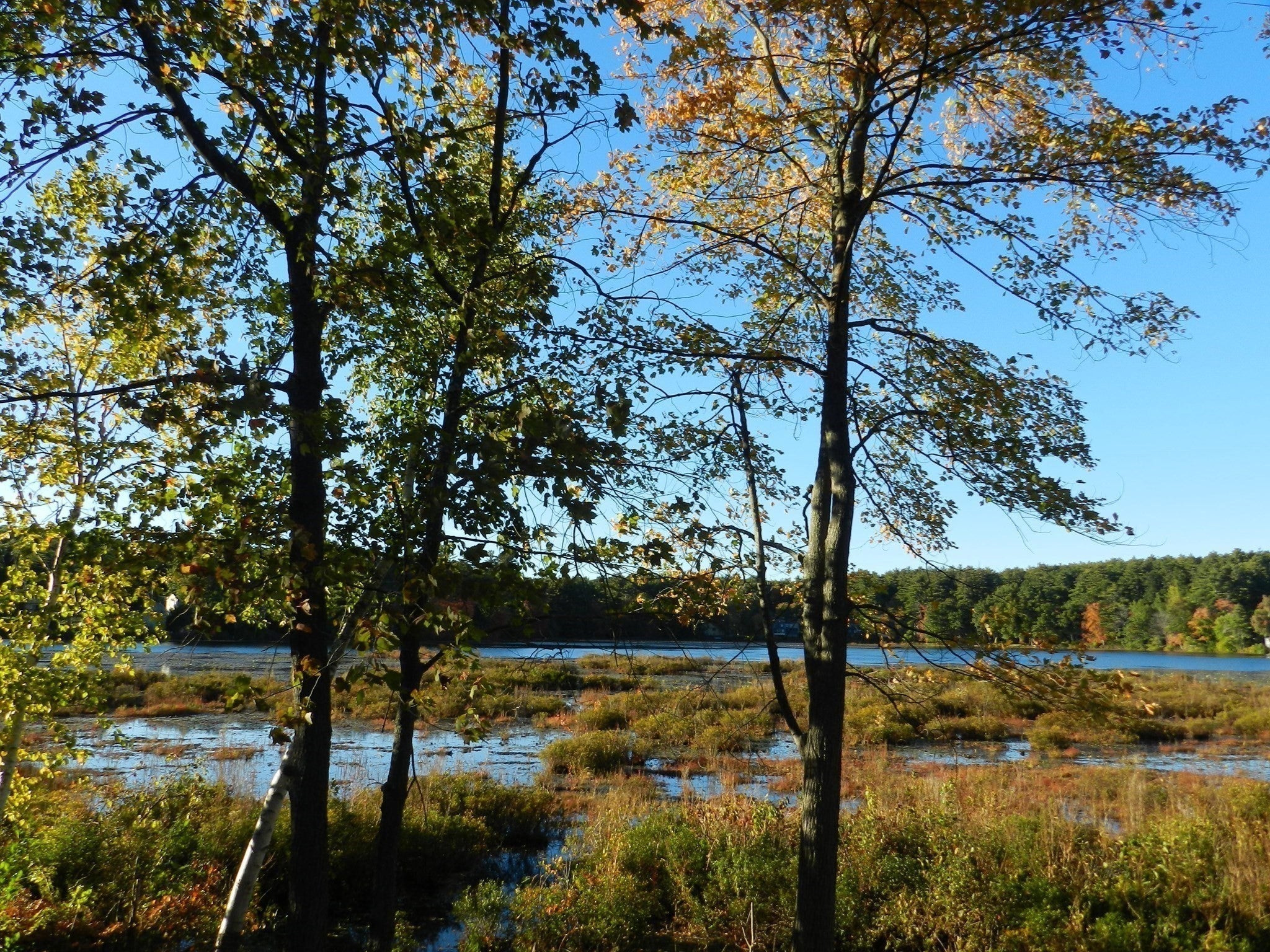 52 Sandy Pond Rd
