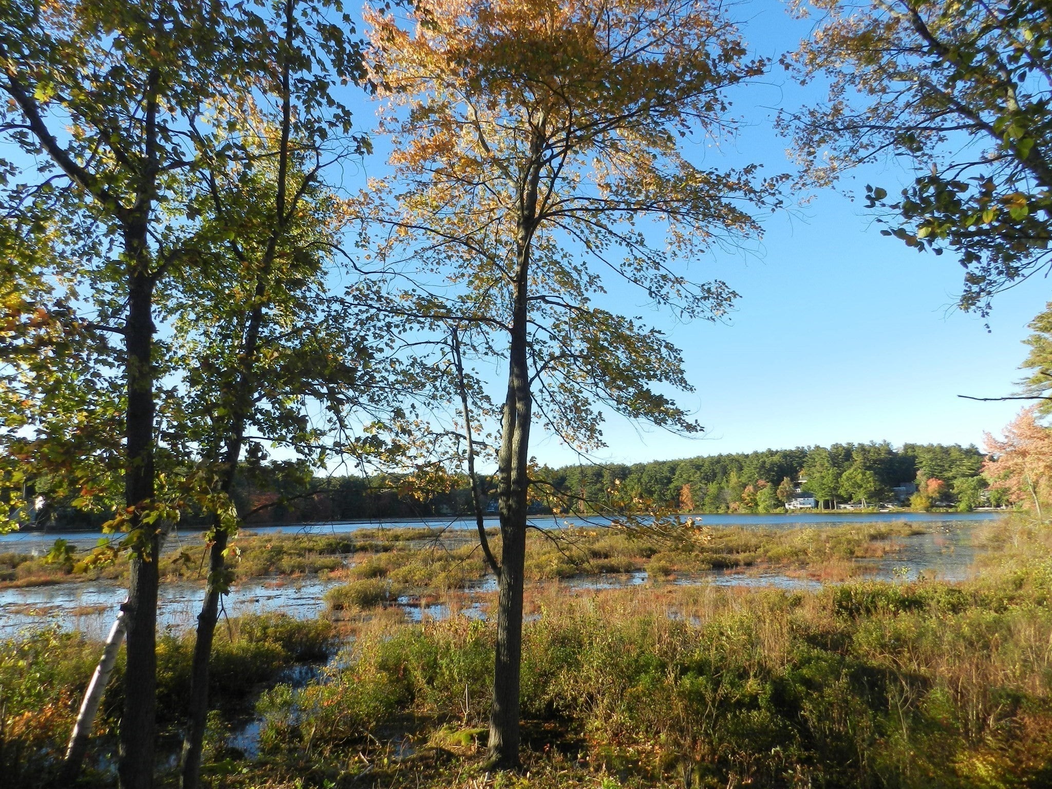 52 Sandy Pond Rd, Ayer, MA, 52 Sandy Pond Rd, Ayer, MA Photo #34