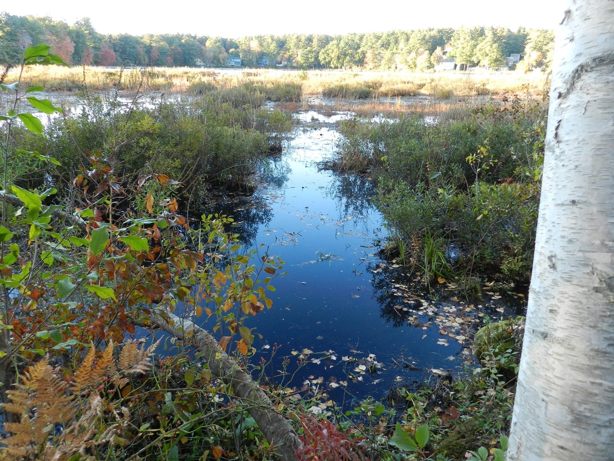 52 Sandy Pond Rd, Ayer, MA, 52 Sandy Pond Rd, Ayer, MA Photo #2