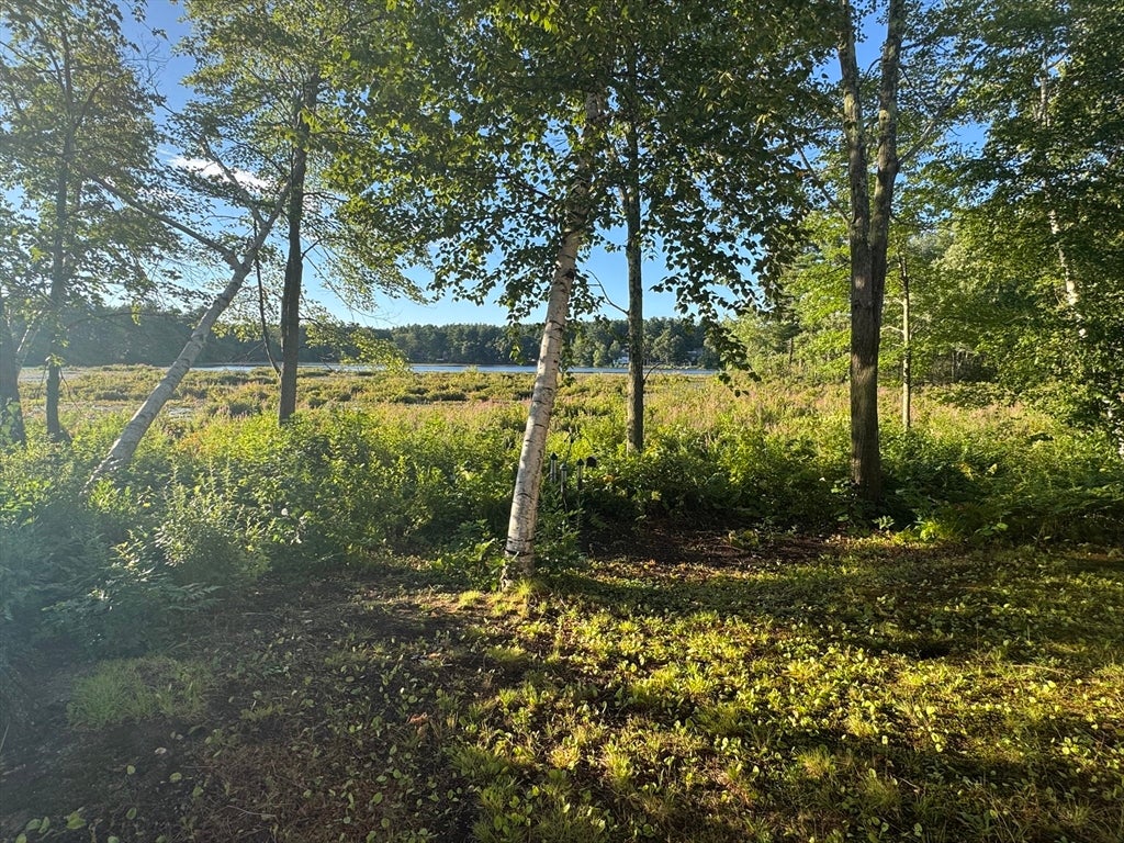 52 Sandy Pond Rd