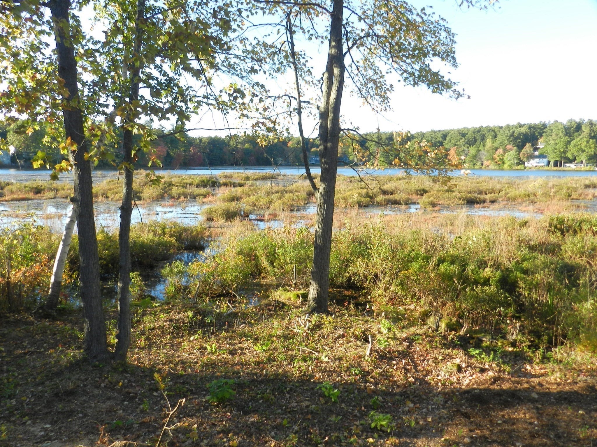 52 Sandy Pond Rd, Ayer, MA, 52 Sandy Pond Rd, Ayer, MA Photo #35