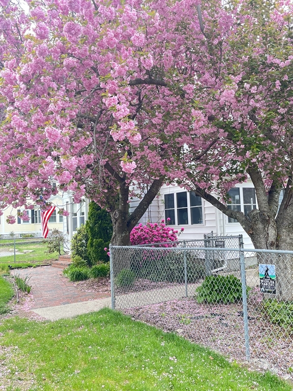 45 Hayes Ave