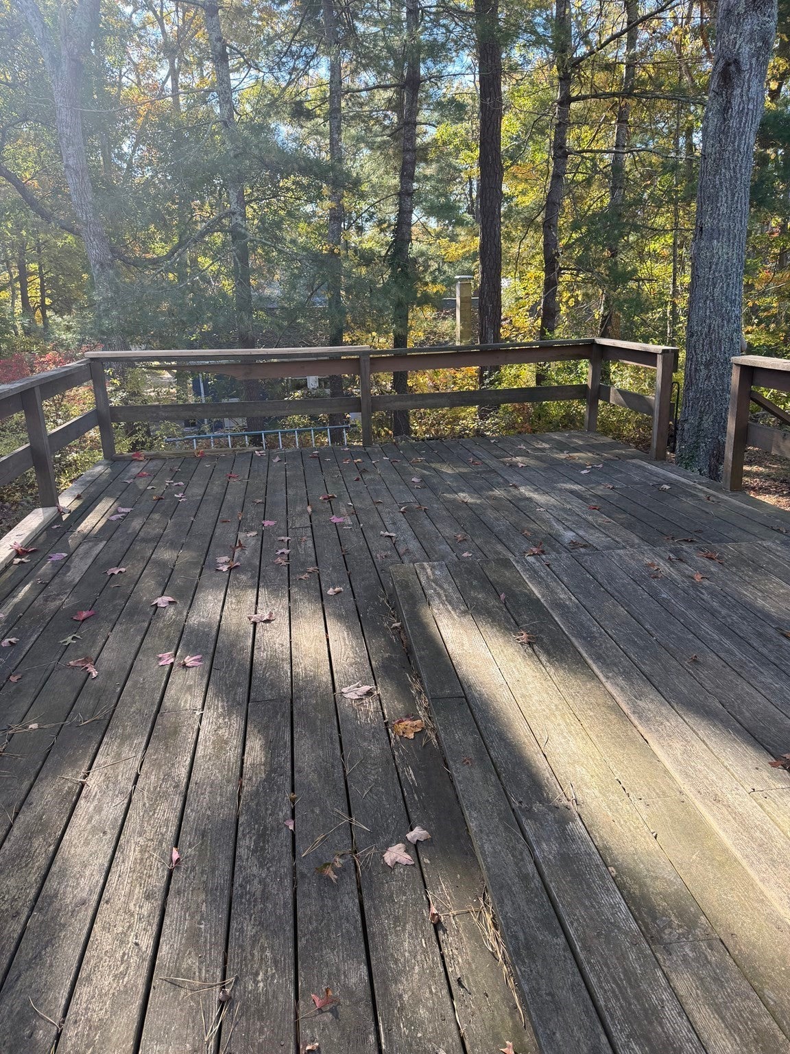 20 Briggs Ave, Plymouth, MA Photo #19