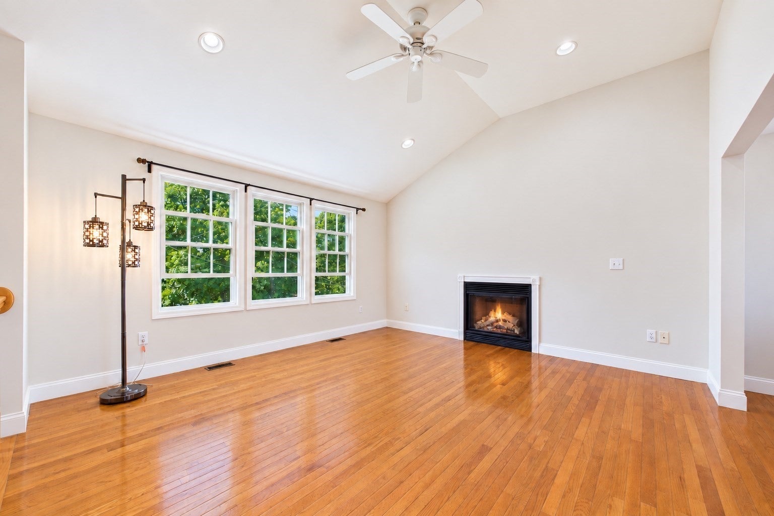 7 Vincent St.