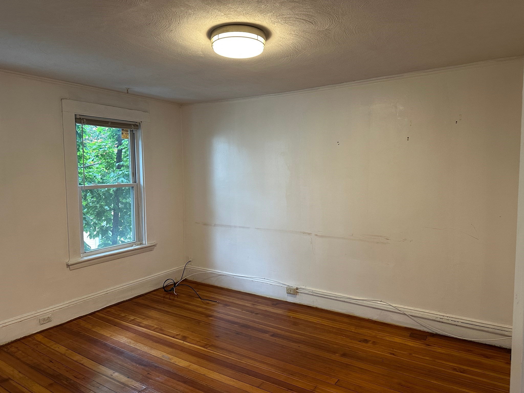 17 George St #2, Somerville, MA, 17 George St #2, Somerville, MA Photo #18