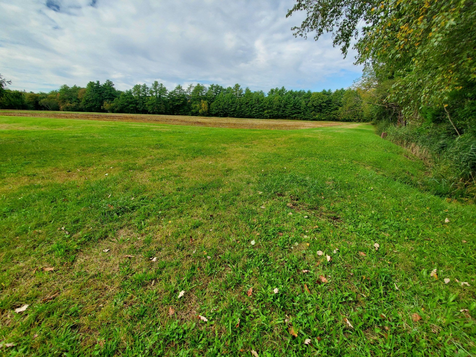96 Palmer Mill Rd.