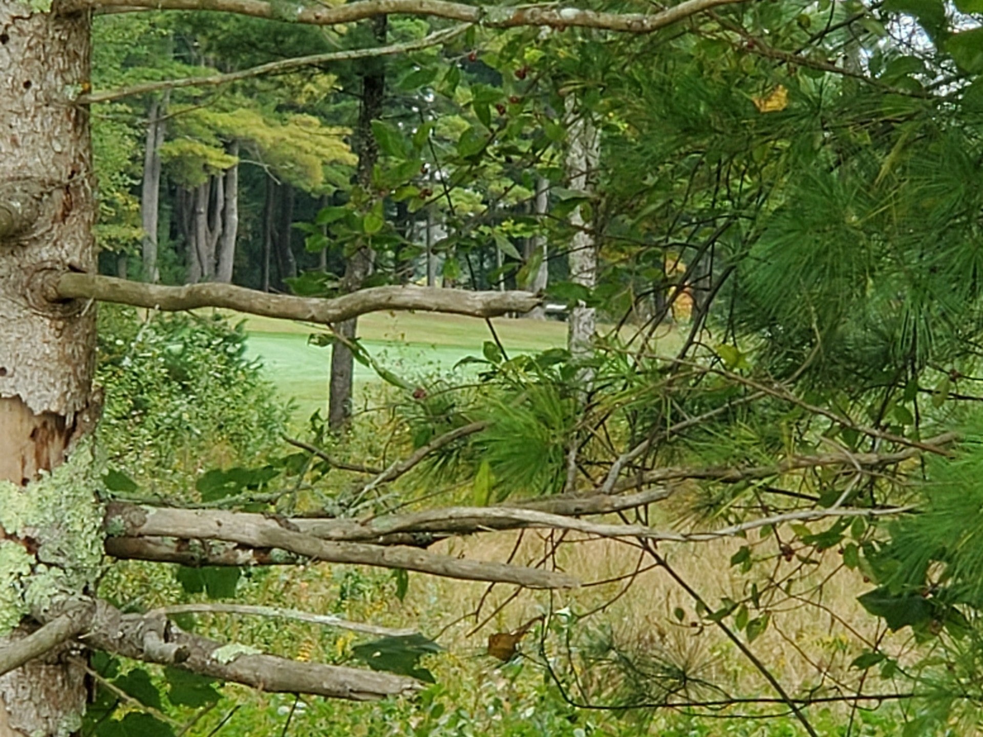 96 Palmer Mill Rd.