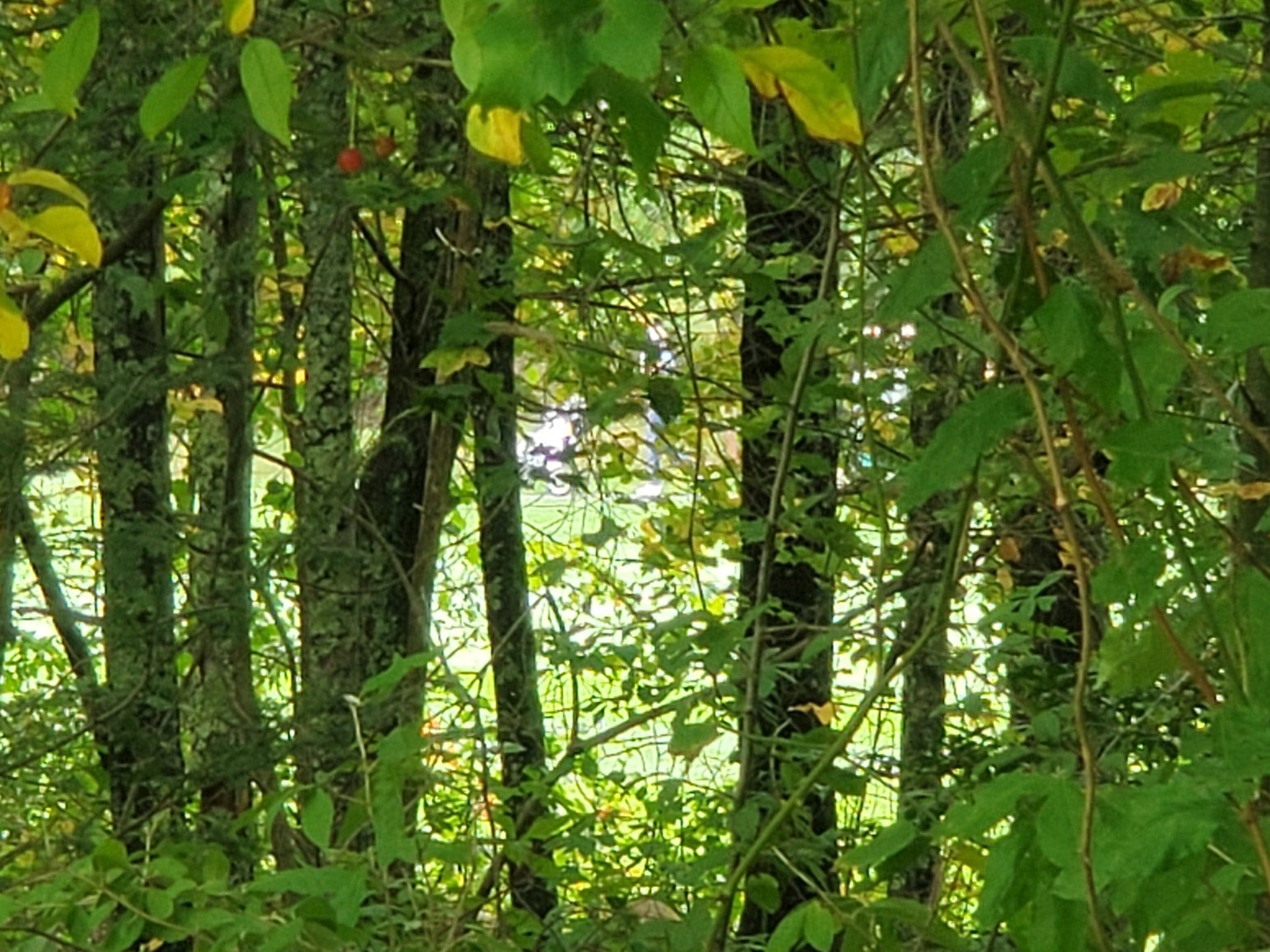 96 Palmer Mill Rd.