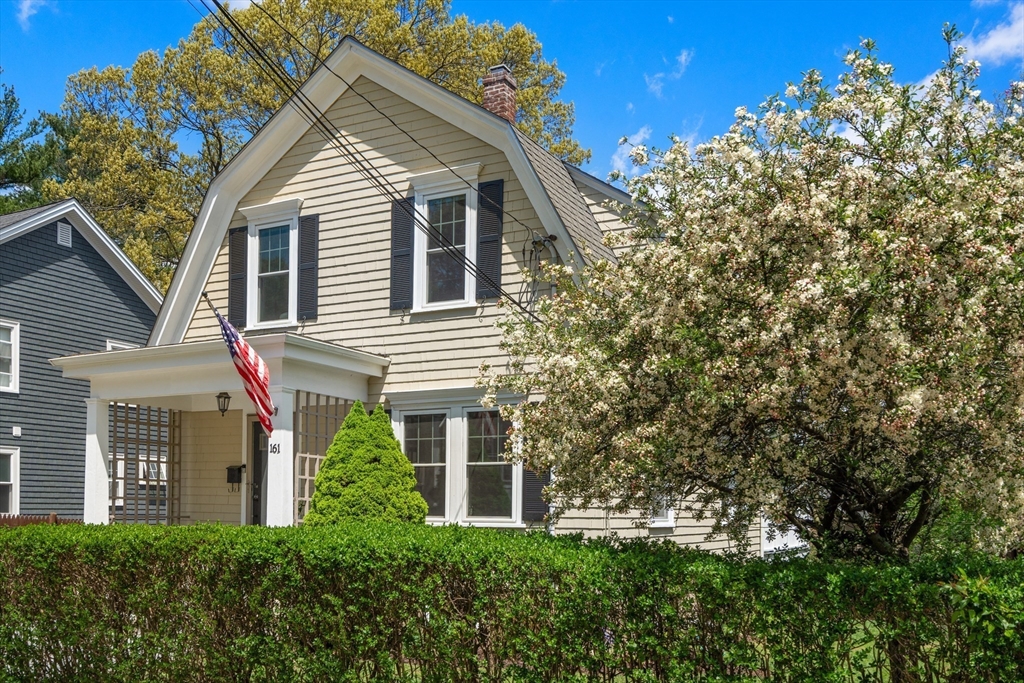 161 Perham St, Boston, MA Photo #41