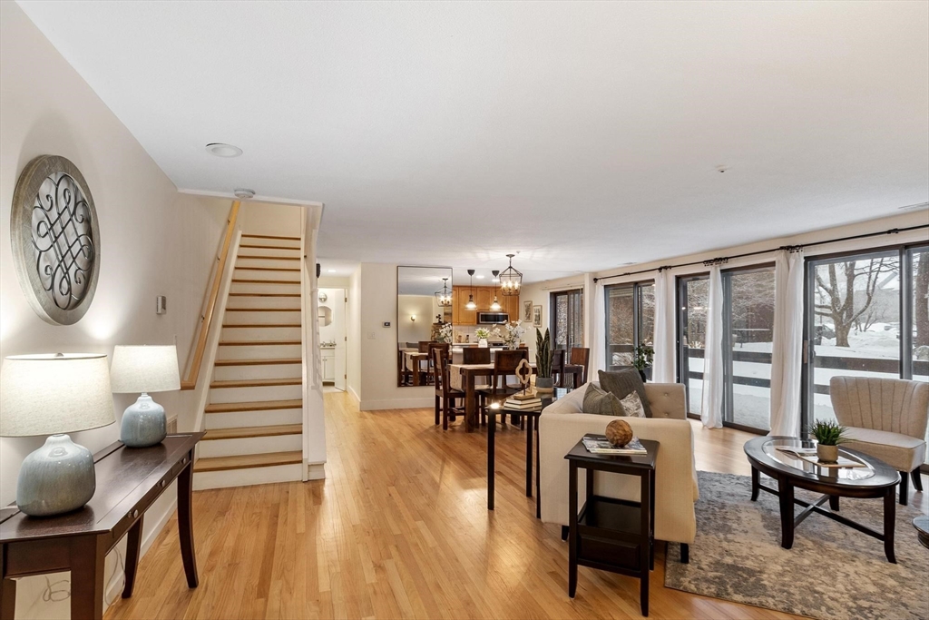 237 Brown Bear Crossing 237