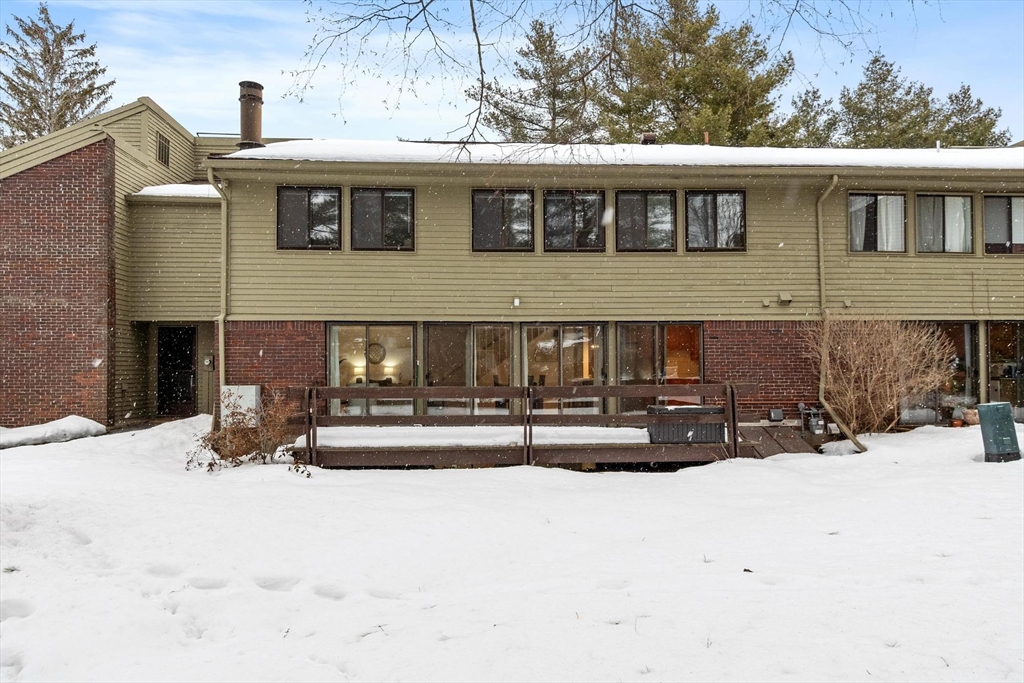 237 Brown Bear Crossing 237