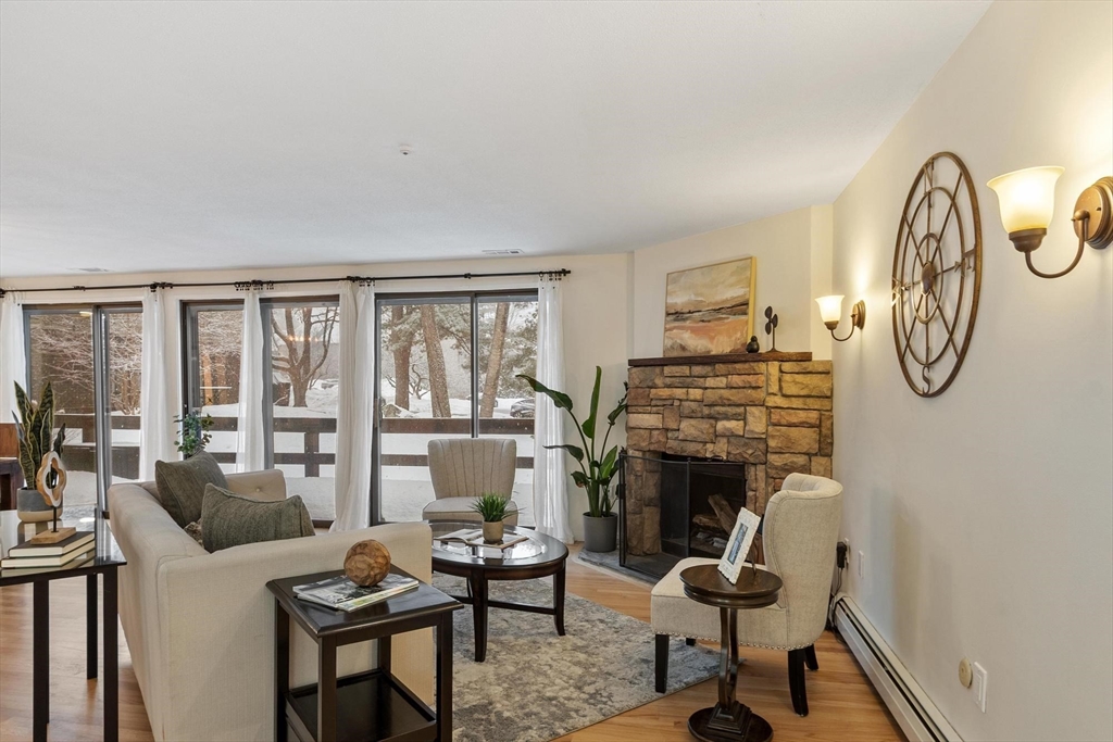 237 Brown Bear Crossing 237