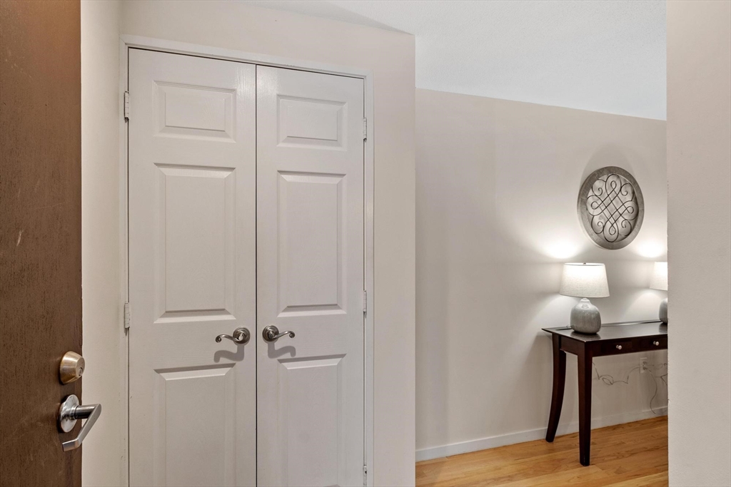 237 Brown Bear Crossing 237