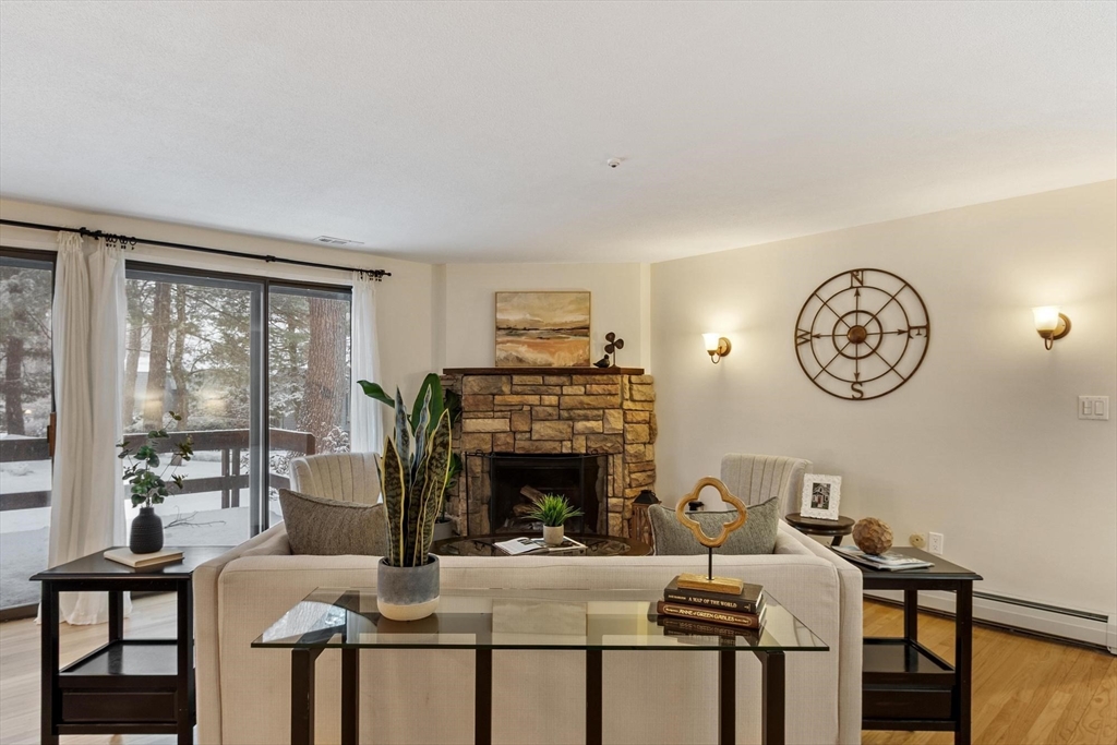 237 Brown Bear Crossing 237