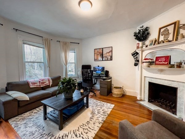 287 Chestnut Avenue #1, Boston, MA, 287 Chestnut Avenue #1, Boston, MA Photo #5