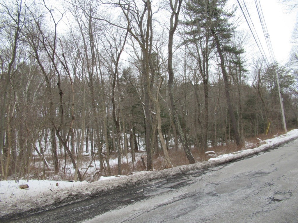 37 Buttonwood Avenue