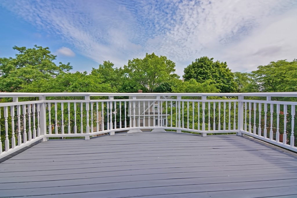 91 University Rd #2, Brookline, MA Photo #13
