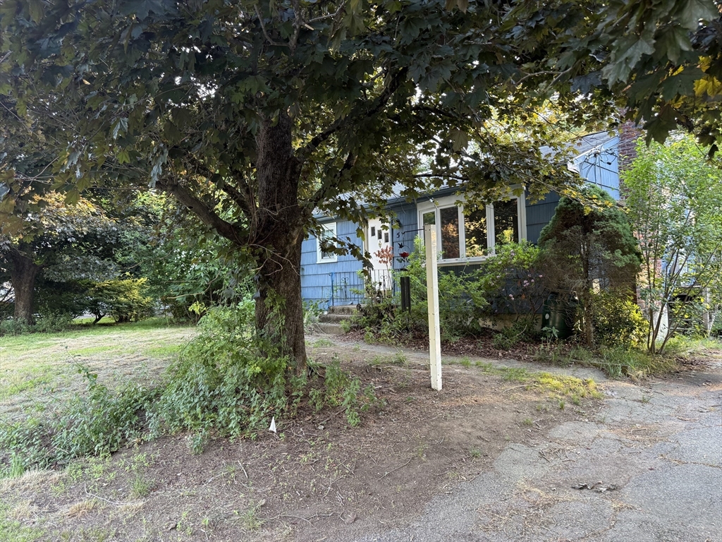 5 Delmar St
