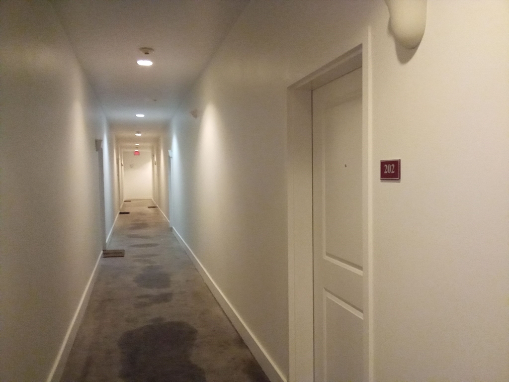 21 Illinois St 202