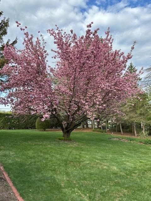 West Springfield, Massachusetts 01089, United States, 4 Bedrooms Bedrooms, ,2 BathroomsBathrooms,Residential,Pending,123256