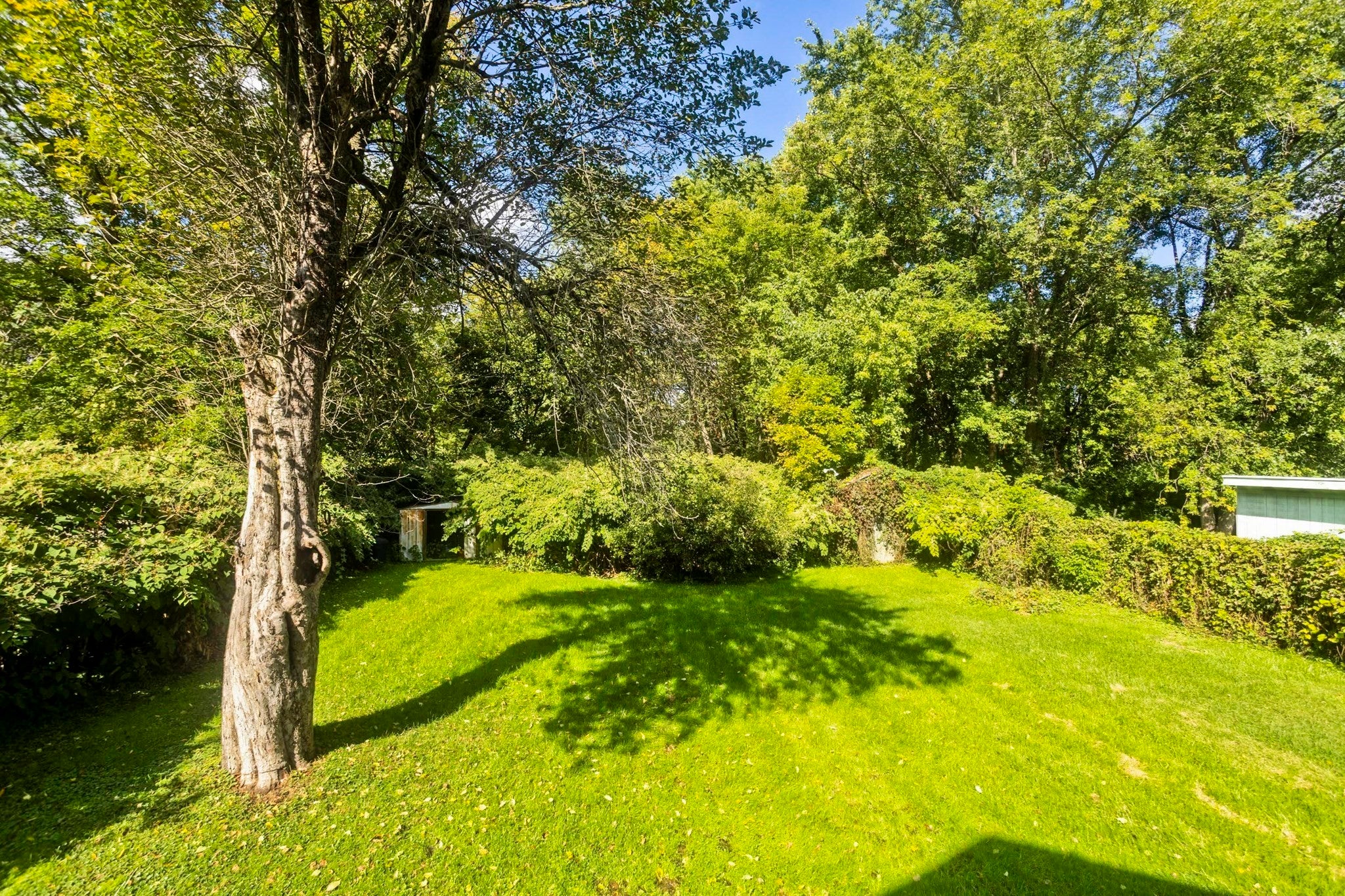 275 Dewey Ave, Pittsfield, MA Photo #6