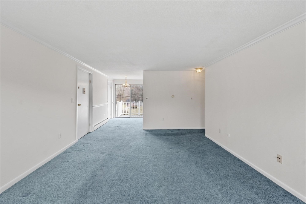 40 C Washington Park Drive 12