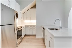163 Chestnut 302