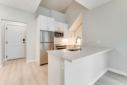 163 Chestnut 302