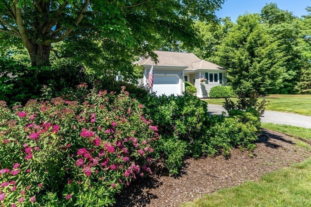 115 Pine Hill Blvd #347, Mashpee, MA Photo #24