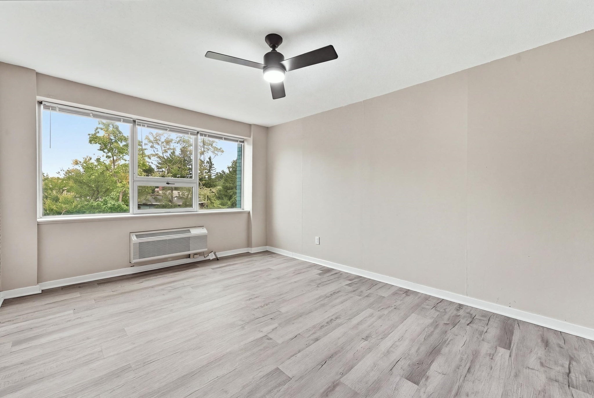 101 Mulberry Street #508, Springfield, MA, 101 Mulberry Street #508, Springfield, MA Photo #25