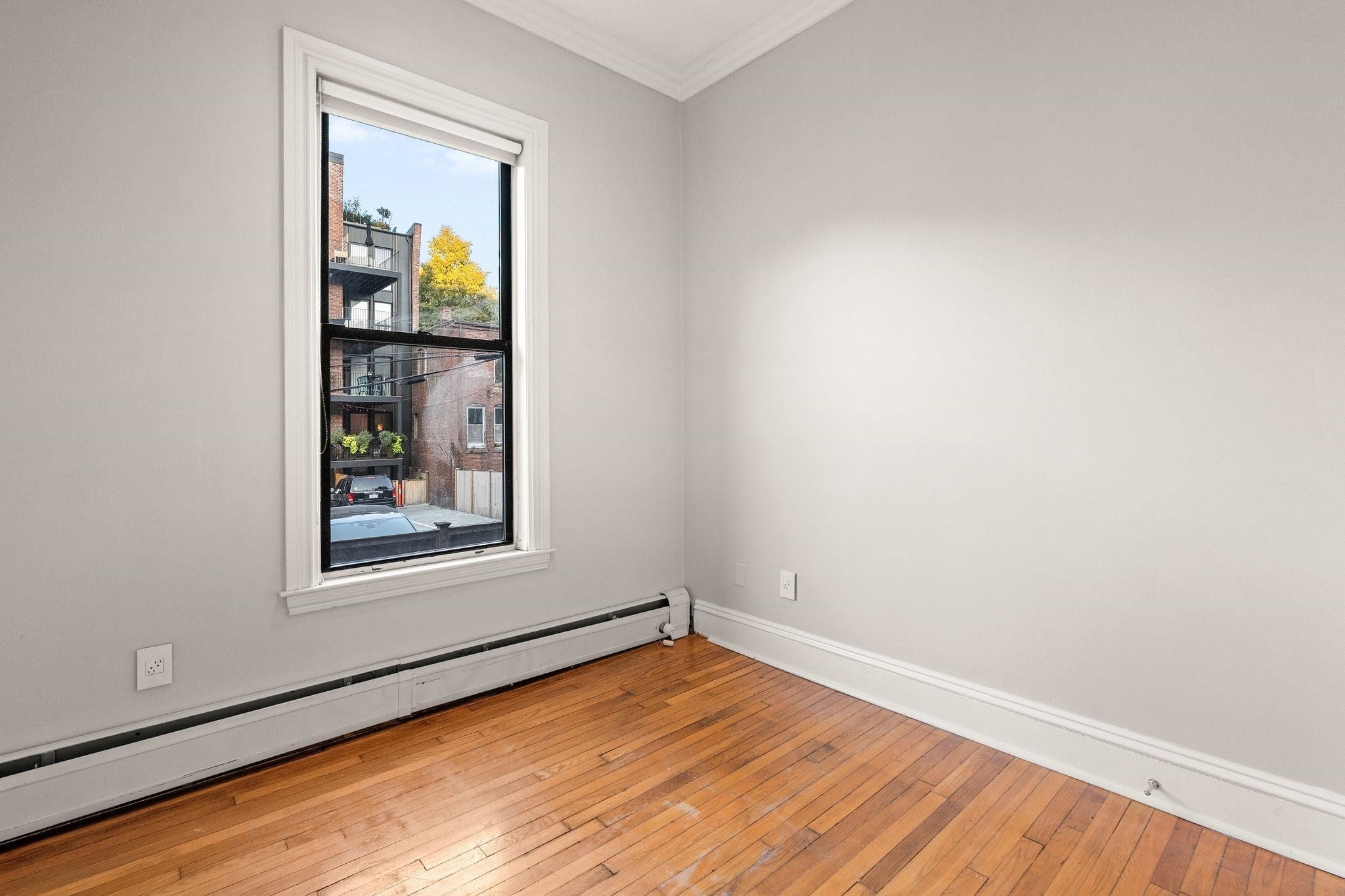 219 W Springfield ST #2, Boston, MA, 219 W Springfield ST #2, Boston, MA Photo #13