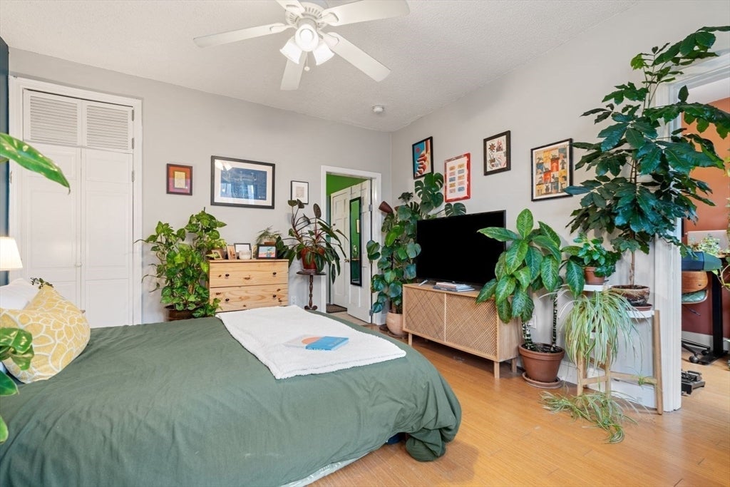 377 Dorchester St #2, Boston, MA, 377 Dorchester St #2, Boston, MA Photo #9