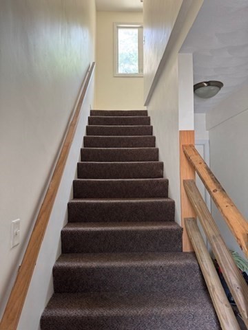 14 Moss Street 2