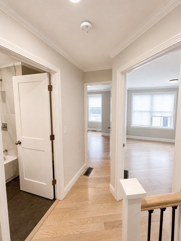 108 Gilman St #2, Somerville, MA, 108 Gilman St #2, Somerville, MA Photo #8