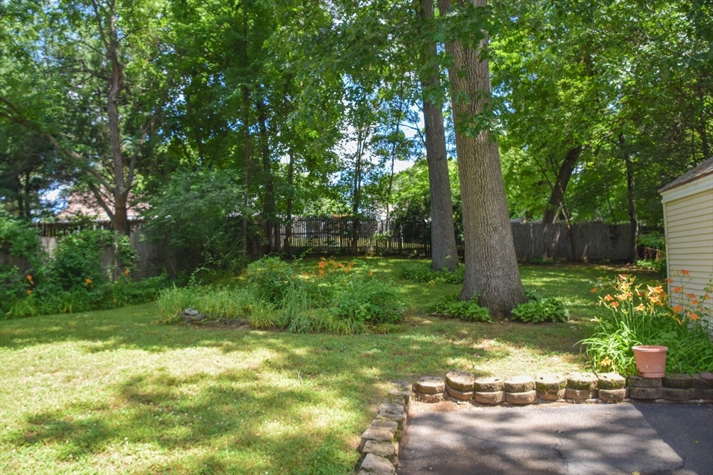 62 Balfour Drive