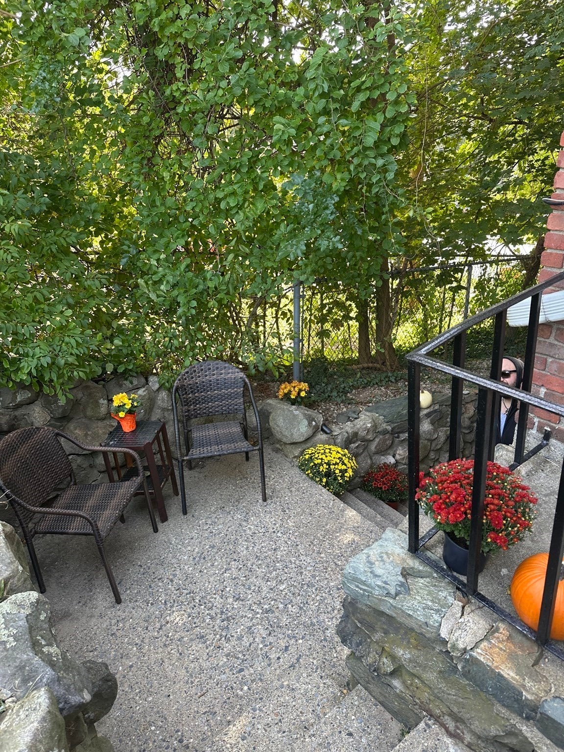 27 Hosmer St