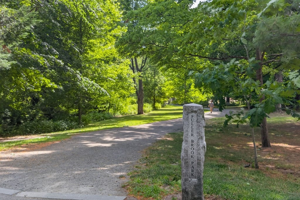 29 Brook Street, Wellesley, MA Photo #27